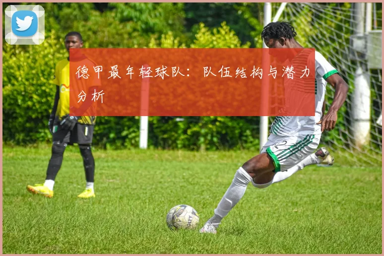 德甲最年轻球队：队伍结构与潜力分析