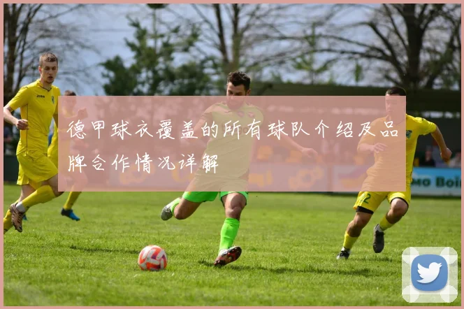 德甲球衣覆盖的所有球队介绍及品牌合作情况详解